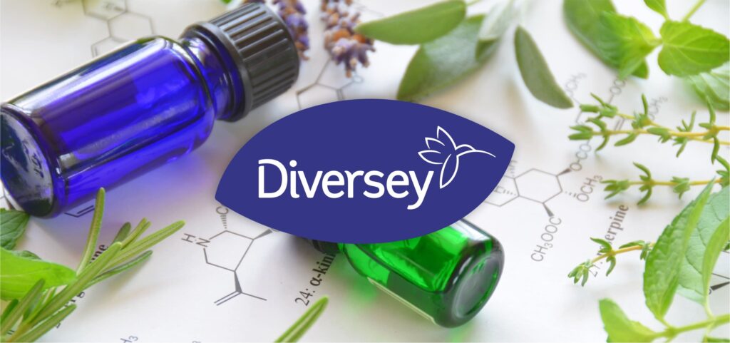 Історія Дайверсі