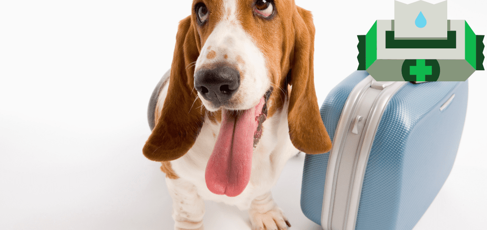 Що входить у тривожну валізу