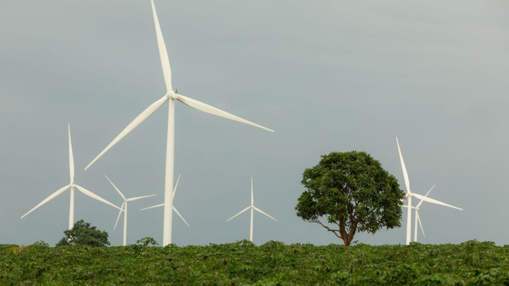 Як забезпечити безперебійне енергопостачання свого будинку?
