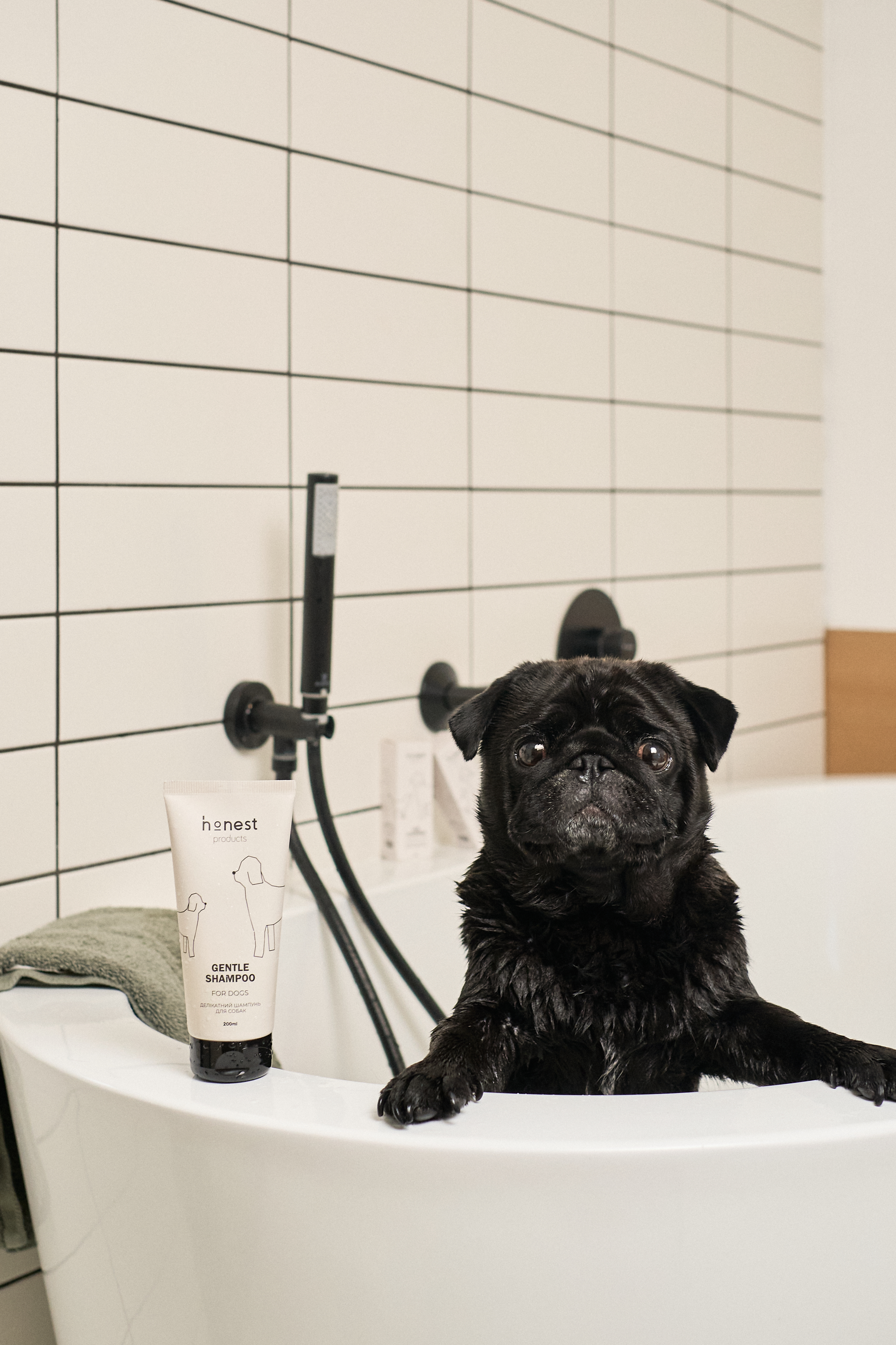 Делікатний шампунь для собак від honest products, 200мл