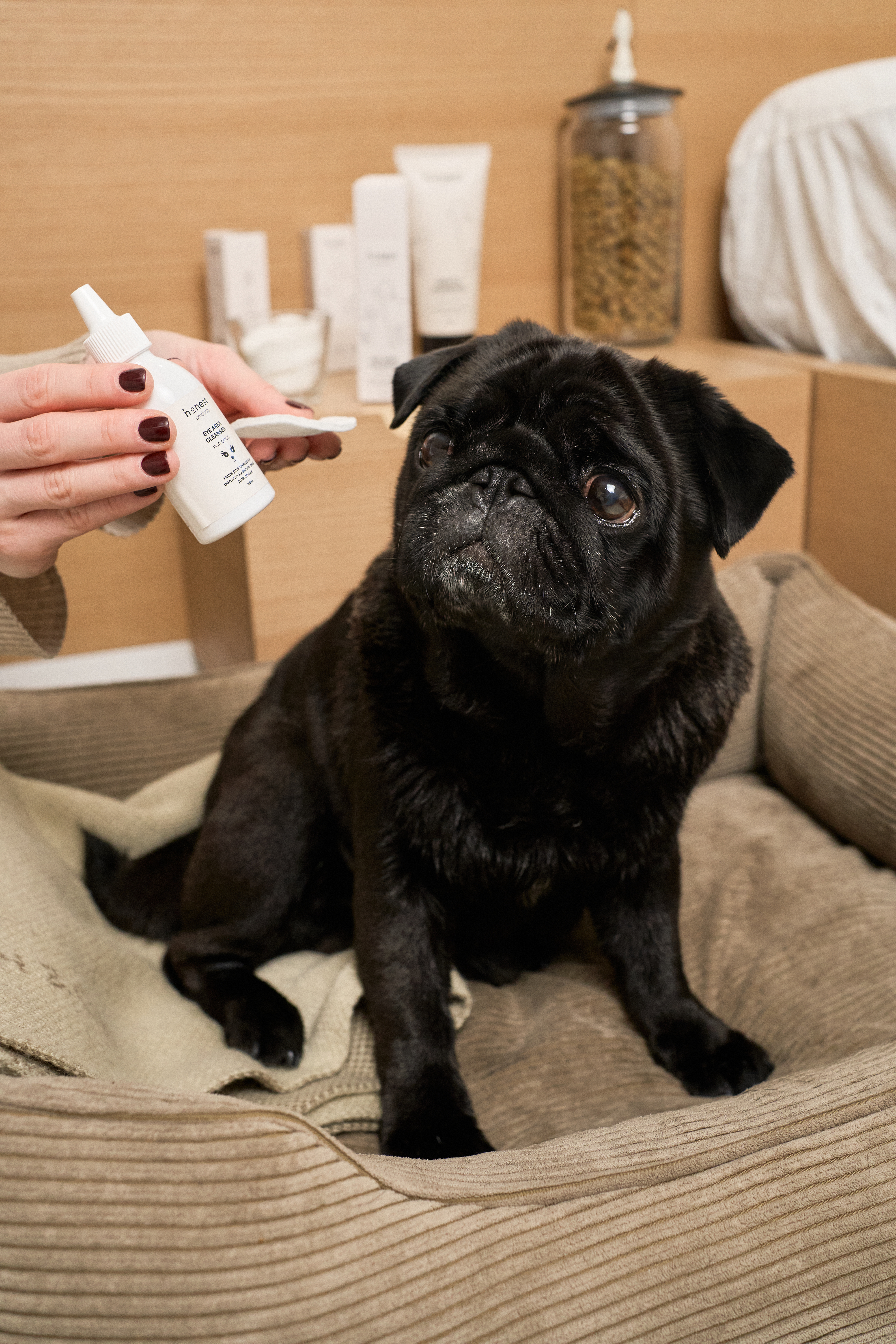 Засіб для очищення області навколо очей для собак від honest products, 55мл