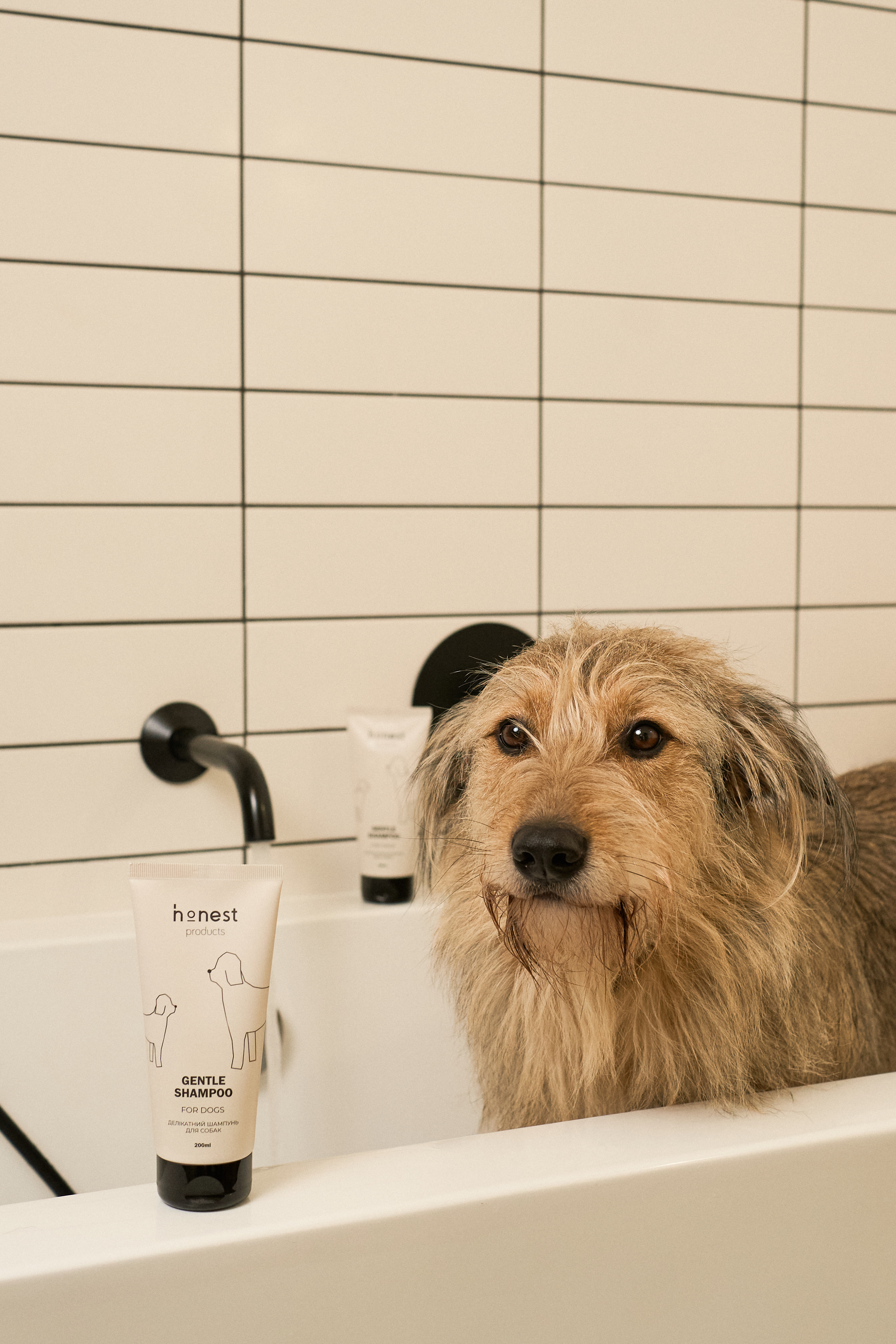 Делікатний шампунь для собак від honest products, 200мл