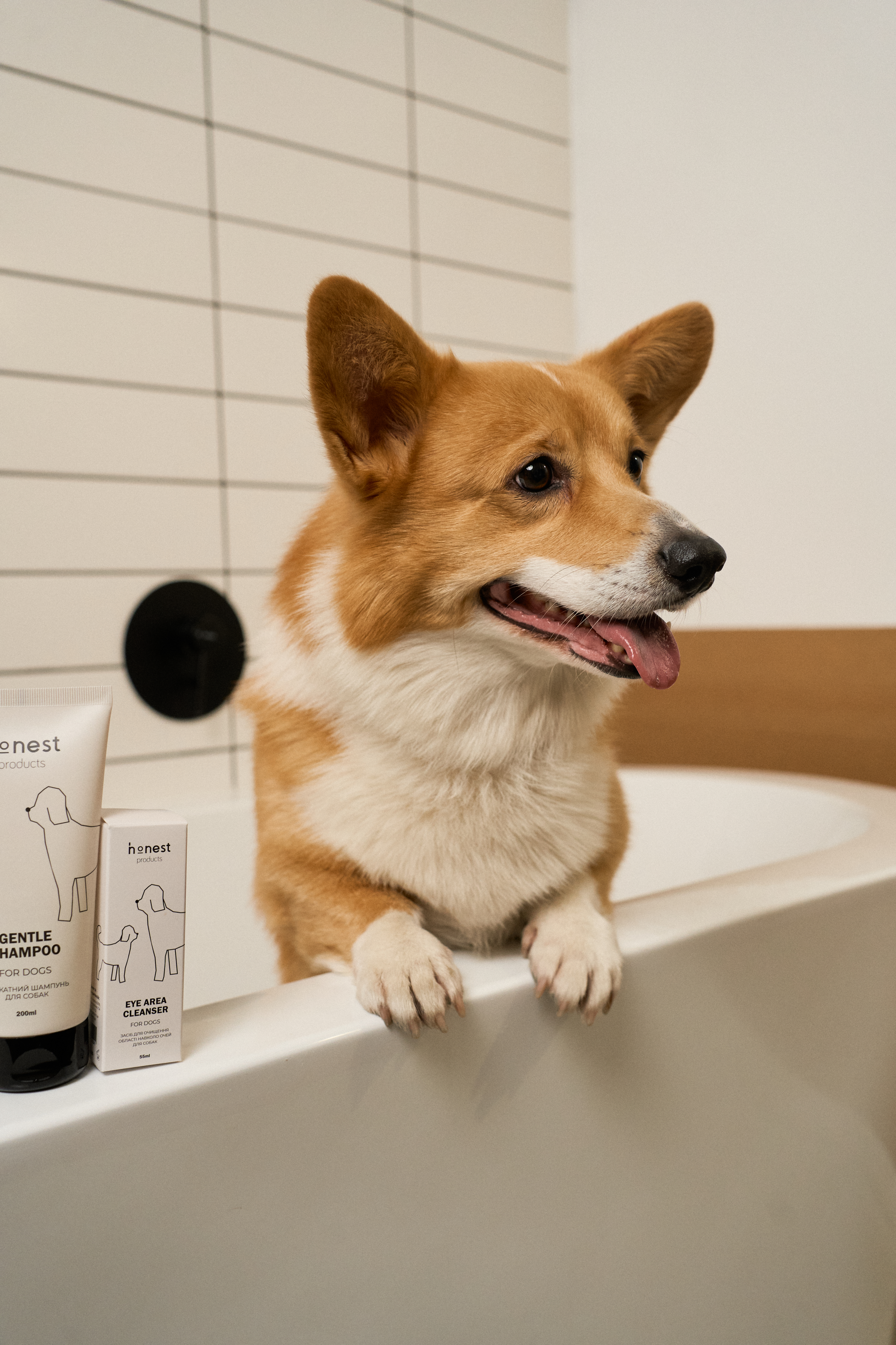 Набір доглядових засобів для собак